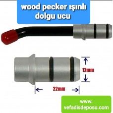 WOOD PECKER IŞINLI DOLGU UCU